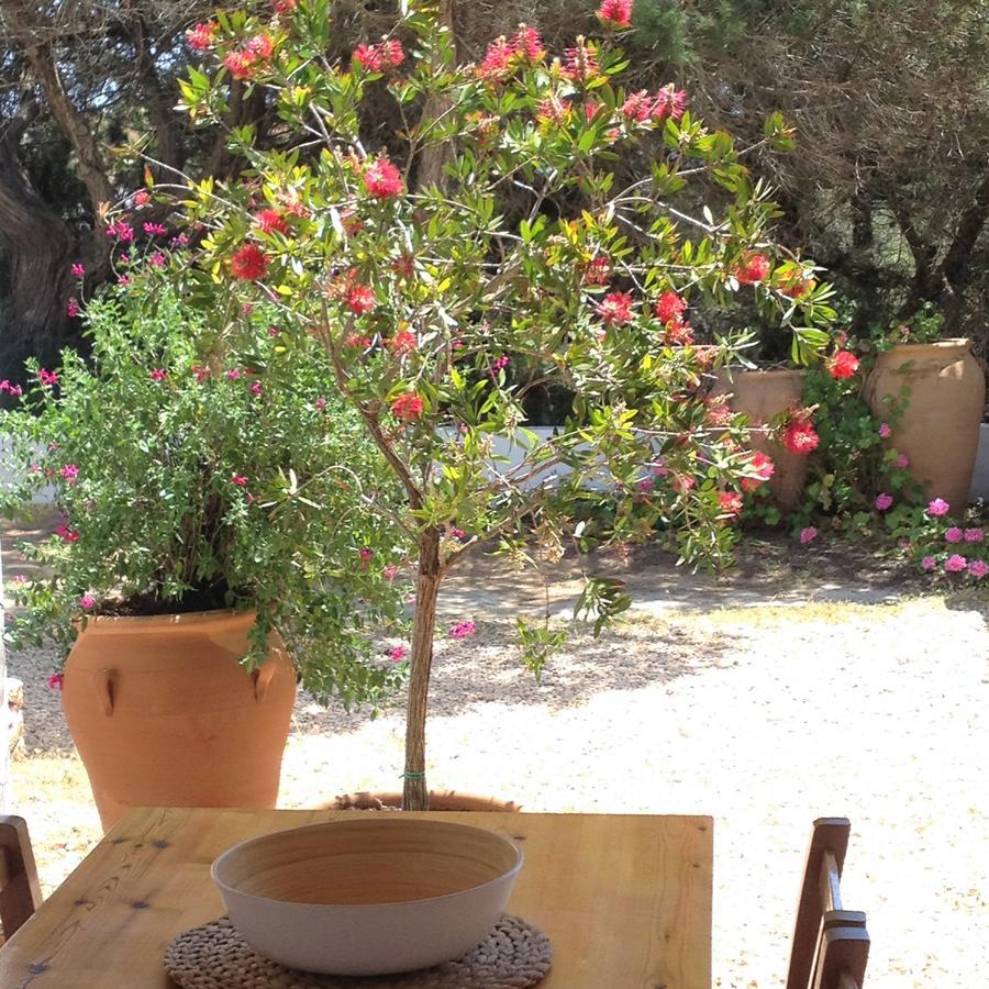 Apartamentos Laura Playa De Migjorn Εξωτερικό φωτογραφία